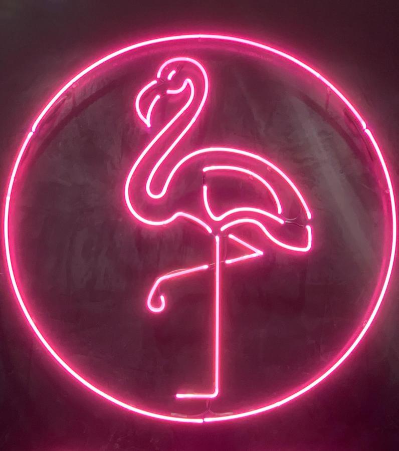 Illinois Hotel シドニー エクステリア 写真